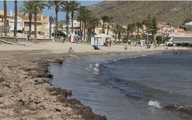 El Partido Popular reclama soluciones para la playa de Calabardina y pide al equipo de Gobierno que abandone la confrontación