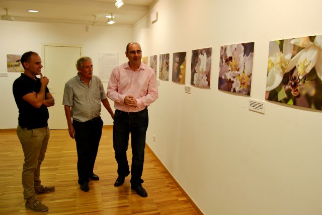 Juan Hernández Calvo presenta en Águilas una exposición fotográfica sobre abejas