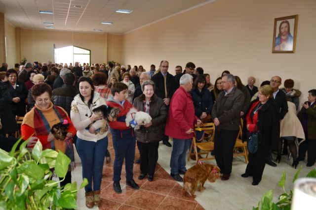 Cientos de aguileños acompañan a San Antón Abad en las fiestas de Tébar