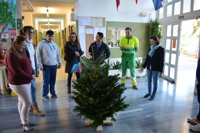Los ediles de Educación y Empresas Prestadoras de Servicios hacen entrega de los abetos de navidad a los colegios de la localidad