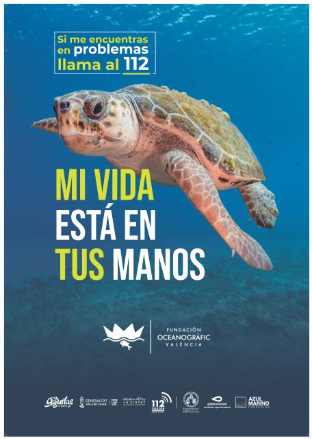 Águilas participa un año más en la campaña 'Tortugas del Mediterráneo'