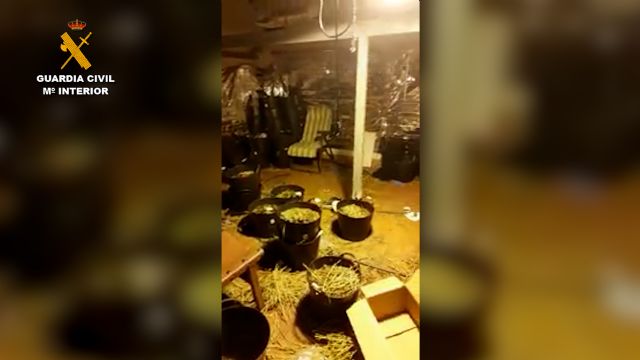 La Guardia Civil desmantela una plantación indoor de cannabis en Águilas