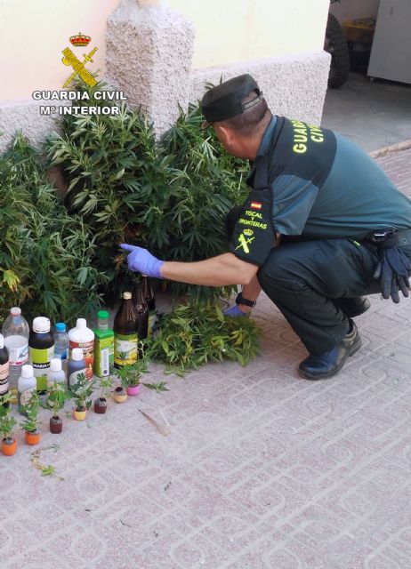 La Guardia Civil desmantela un cultivo casero de marihuana en Águilas