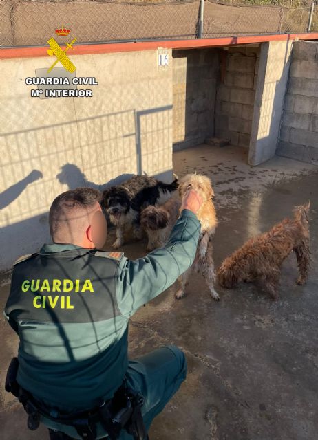 La Guardia Civil investiga a dos vecinos de Águilas por maltrato animal