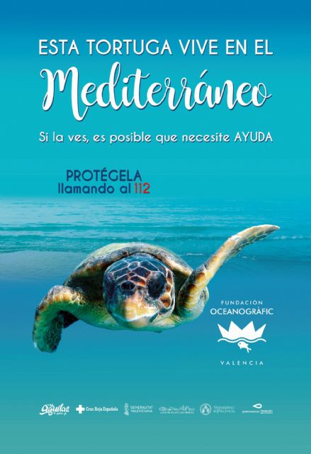 Águilas se suma a la campaña de protección de la tortuga boba de la Fundación Oceanografic
