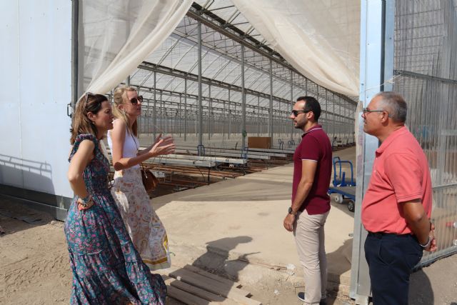 La apertura del nuevo invernadero de Looije supondrá la contratación de más de 60 trabajadores