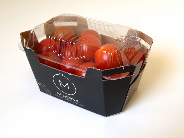 Looije presenta a 'Minerva', su nueva marca de tomate cherry